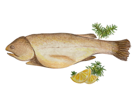 Frische Fische aus eigener Zucht, geräuchert, Frischfisch vom Kaufhaus Wöss