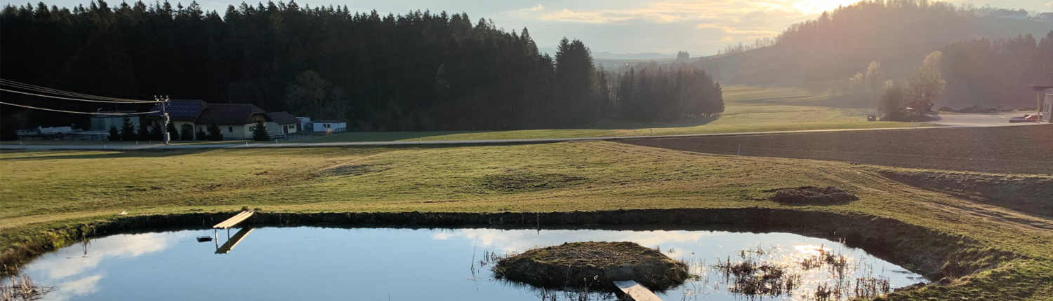 Frische Fische aus dem eigenen Fischteich in Kollerschlag, Kaufhaus Wöss